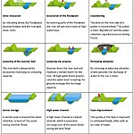 Harmony in Urban Ecology The Rise of Blue-Green Networks-Sheet7